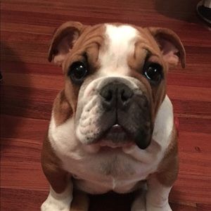 Meet your Posher- JZ